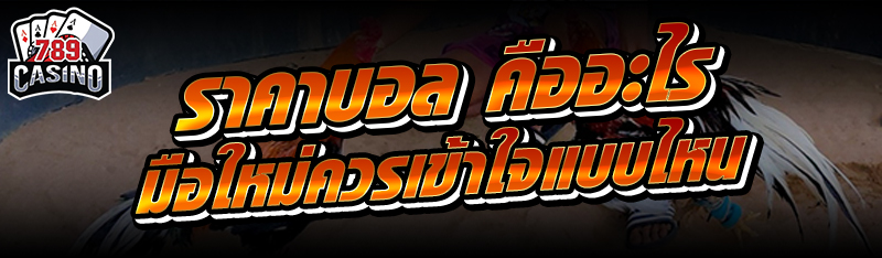 ราคาบอล คืออะไร มือใหม่ควรเข้าใจแบบไหน