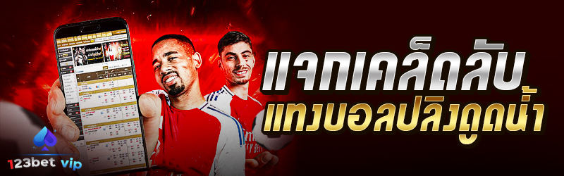 แจกเคล็ดลับแทงบอลปลิงดูดน้ำ 