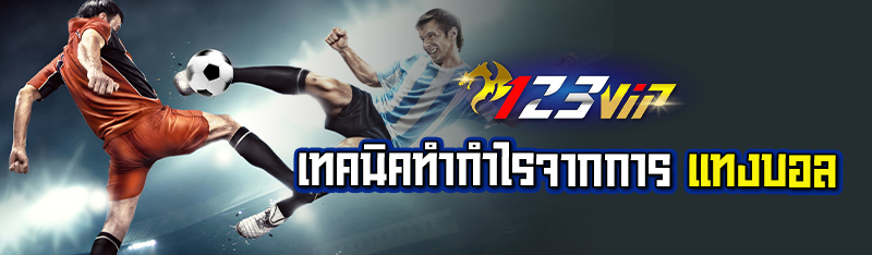 เทคนิคทำกำไรจากการแทงบอล